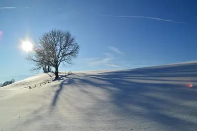 Lechsee Lodge - Haus Bergliebe Nr 4 im Winter