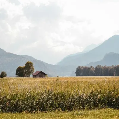 Naturlandschaft in der Nähe der Ferienwohnung