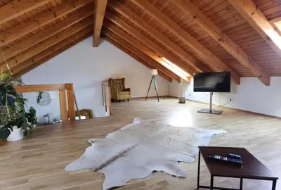 TV/Unterhaltungsangebot in der Unterkunft Loft mit Kamin