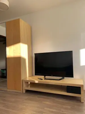 TV/Unterhaltungsangebot in der Unterkunft Gemütliches Apartment in zentraler Lage
