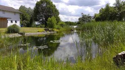 Naturlandschaft in der Nähe der Ferienwohnung