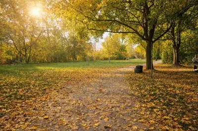 Naturlandschaft in der Nähe der Ferienwohnung