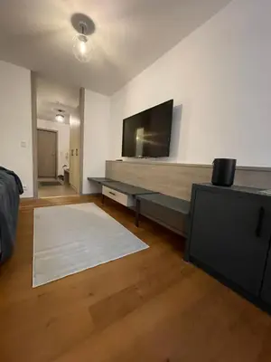 TV/Unterhaltungsangebot in der Unterkunft See und Kliniknahes Apartment, Balkon, Wifi, Blick ins Grüne