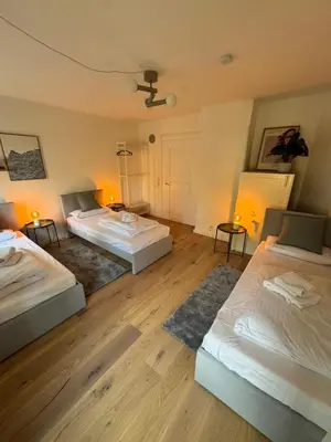 Ein Bett oder Betten in einem Zimmer der Unterkunft Bavaria Home Apartments Geisenfeld