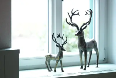 Tiere im Hotel oder in der Nähe