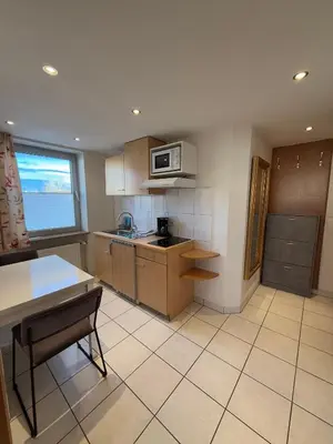 Küche/Küchenzeile in der Unterkunft Apartment Hotel Huber, Zimmer und Apartments