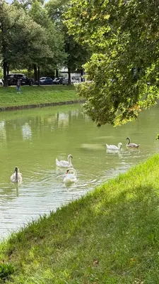 Blick auf einen Fluss in der Nähe der Ferienwohnung