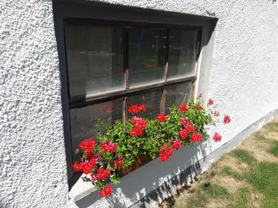Ein Garten an der Unterkunft Ferienwohnung in Bierdorf im Erdgeschoss