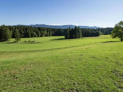 Naturlandschaft in der Nähe des Ferienhauses