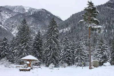 Apartment Zugspitz im Winter