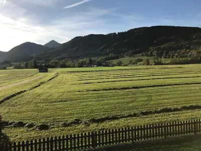 Naturlandschaft in der Nähe der Ferienwohnung