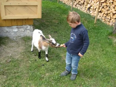 Kinder, die in der Unterkunft Demelhof Urlaub auf dem Bauernhof übernachten