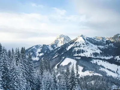Naturlandschaft in der Nähe der Ferienwohnung