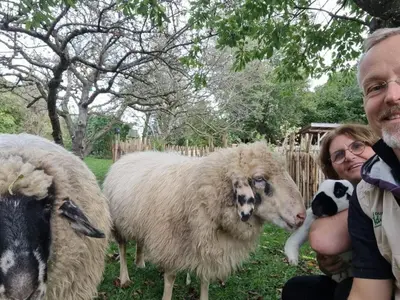 Tiere im Ferienhaus oder in der Nähe
