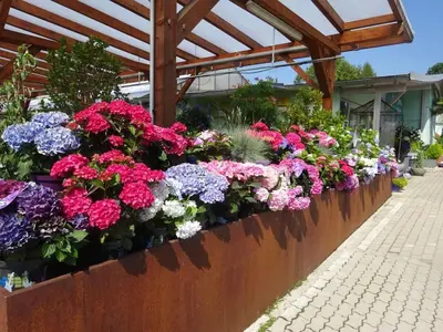 Ein Garten an der Unterkunft Holiday apartment with 2 bedrooms