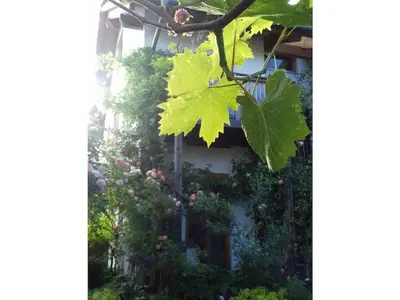 Ein Garten an der Unterkunft Mathilde Comfortable holiday residence