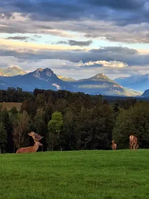 Naturlandschaft in der Nähe der Ferienwohnung