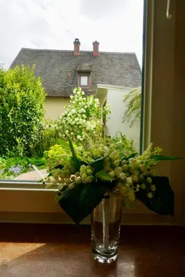 Ein Garten an der Unterkunft Cozy house with courtyard