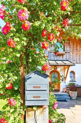 Ein Garten an der Unterkunft Apartment Übersee21 Ferienloft by Interhome