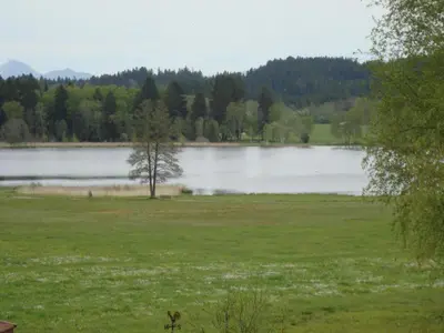 Naturlandschaft in der Nähe der Ferienwohnung