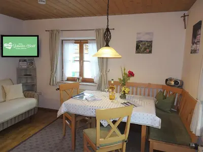 TV/Unterhaltungsangebot in der Unterkunft Apartment Schwalbe by Interhome