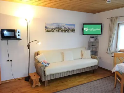TV/Unterhaltungsangebot in der Unterkunft Apartment Schwalbe by Interhome