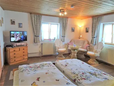 TV/Unterhaltungsangebot in der Unterkunft Apartment FeWo Bärli by Interhome