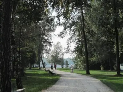 Naturlandschaft in der Nähe der Ferienwohnung