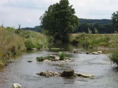 Naturlandschaft in der Nähe der Ferienwohnung