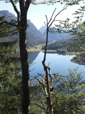 Naturlandschaft in der Nähe des Ferienhauses