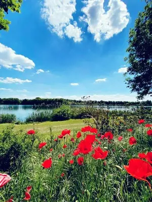 Naturlandschaft in der Nähe des Ferienhauses