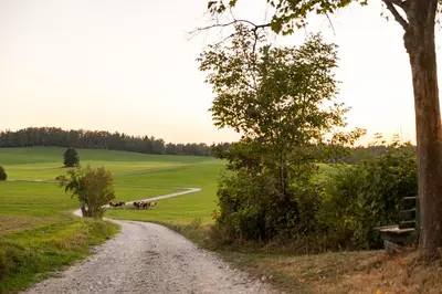 Naturlandschaft in der Nähe der Ferienwohnung