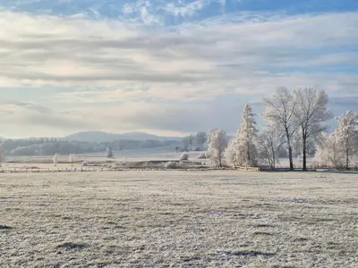 Naturlandschaft in der Nähe des Ferienhauses