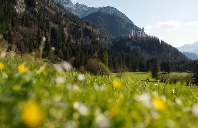 Naturlandschaft in der Nähe der Ferienwohnung