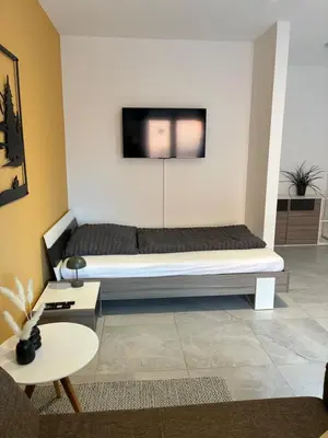 TV/Unterhaltungsangebot in der Unterkunft Quartier 8 - Ein-Zimmer-Apartment