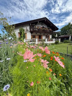 Ein Garten an der Unterkunft Fannys