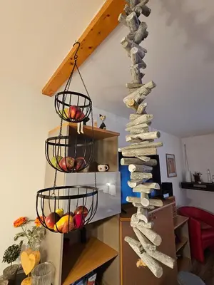 Küche/Küchenzeile in der Unterkunft Feriendorf Hochbergle Haus Marie