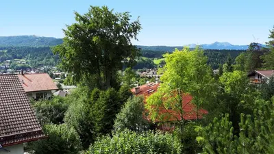 Naturlandschaft in der Nähe der Ferienwohnung