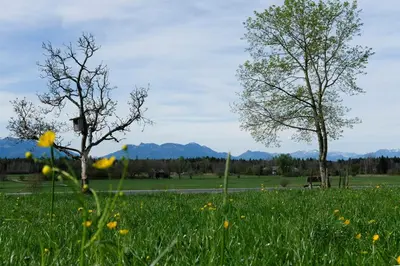 Naturlandschaft in der Nähe der Ferienwohnung