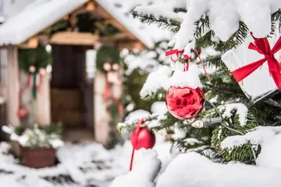 Central Park - Alpine Apartment im Winter