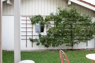 Ein Garten an der Unterkunft ChiemSeeNest - romantische Ferienwohnung am Chiemsee mit Sommer Seezugang
