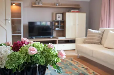 TV/Unterhaltungsangebot in der Unterkunft ChiemSeeNest - romantische Ferienwohnung am Chiemsee mit Sommer Seezugang