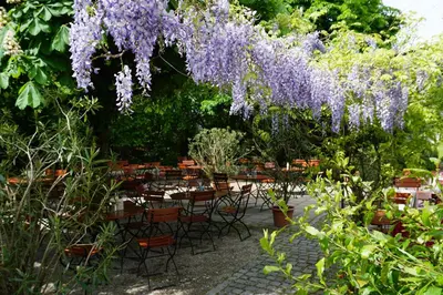 Ein Garten an der Unterkunft Weissenfelder Guest House & Restaurant