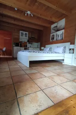 Küche/Küchenzeile in der Unterkunft Apartment Studio Blockhaus by Interhome