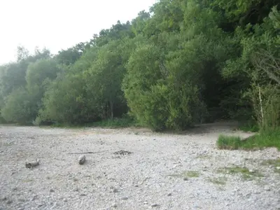 Naturlandschaft in der Nähe des Ferienhauses