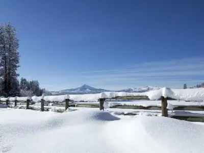 Holiday Home Meister's Ferienhaus by Interhome im Winter