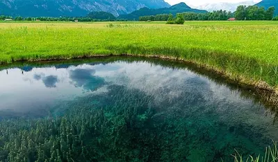 Naturlandschaft in der Nähe der Ferienwohnung