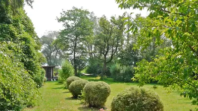 Ein Garten an der Unterkunft Seegrundstück mit Hütte & Ruderboot