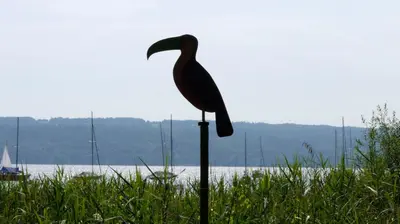 Naturlandschaft in der Nähe des Ferienhauses