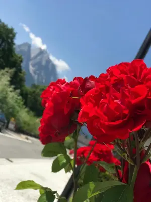 Ein allgemeiner Bergblick oder ein Berglick von der Ferienwohnung aus